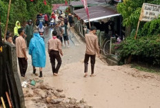 Longsor Timbun Sawah dan Kolam Warga 