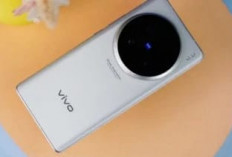 Terkuak! Vivo X300 Ultra Bakal Jadi Monster Flagship 2026, Layar 2K Raksasa hingga Kamera 200MP Ganda