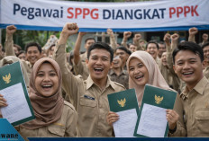 32 Ribu Pegawai SPPG Diangkat PPPK, BGN Klarifikasi Isu Ketidakadilan di Tengah Jeritan Guru Honorer