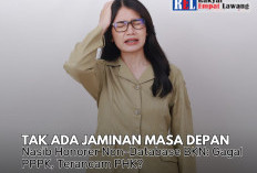 Nasib Honorer Non-Database BKN: Gagal PPPK, Terancam PHK?