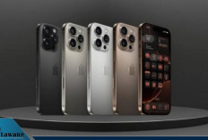Update Harga iPhone Juni-Juli 2025: iPhone 11 Pro Max Mulai Rp5 Jutaan, iPhone 16 Pro Max Tembus Rp32 Juta!