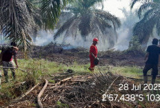 152 Kasus Karhutla Terjadi di Sumsel, Ogan Ilir Masuk Zona Merah