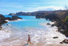 Keindahan Pantai Oesain Kupang: Alam Liar, Pasir Emas, dan Karang Raksasa