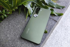Harga Vivo Seri Y 2025 Terbaru: HP Murah Rp1 Jutaan dengan Kamera 50MP!