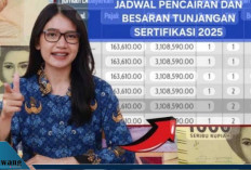 Akhirnya Cair! Tunjangan Sertifikasi Guru Triwulan 2 Tahun 2025 Resmi Ditransfer ke Rekening