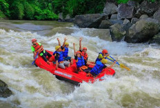 7 Wisata Adrenalin di Jambi Ini, SalahsatunyaArung Jeram