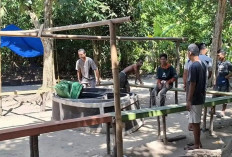 Polisi Bongkar Gelanggang Sabung Ayam