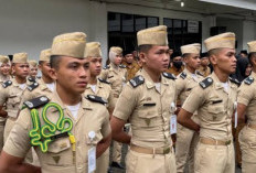 Pendaftaran STTD Kemenhub 2025: Syarat Lengkap, Jurusan yang Dibuka, dan Persyaratan Nilai hingga Tinggi Badan