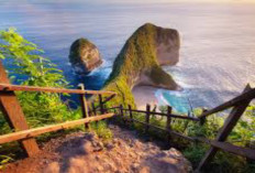 Menikmati keindahan Alam Kelingking Beach, Nusa Penida Di Bali