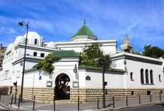 Masjid Raya Paris: Wisata Religi Bernuansa Sejarah dan Arsitektur Andalusia di Jantung Eropa
