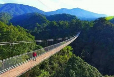 Jembatan Gantung Sukabumi, Destinasi Wisata Alam yang Wajib Dikunjungi