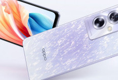 Update Harga Oppo Agustus 2025: Intip Oppo A79 5G, Oppo A60, dan Oppo A55