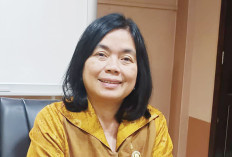 Sumsel Dapat 16 Proyek Strategis Nasional