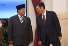 Luhut Luhut