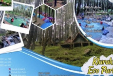 Klurak Eco Park Pacet: Pesona Alam dan Rekreasi Modern di Hutan Pinus Mojokerto