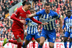 Liverpool Siap Hadapi Brighton