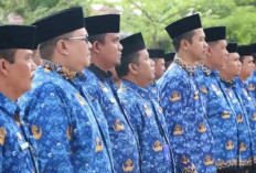 KemenPAN-RB Ungkap Perkembangan Terbaru RPP Manajemen ASN, Banyak Perubahan Besar Menanti!