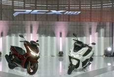 Honda Luncurkan New PCX 160 dengan Fitur dan Desain Terbaru, Harga Mulai Rp33 Jutaan