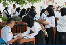 Hore! Seleksi CPNS 2025 Dibuka: Cek Sistem Baru dan Formasi yang Dibutuhkan