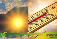 Wajar Warga Ngeluh, Suhu Terpanas Sejak 1981, Indonesia Mencapai 38,4 Derajat Celsius! Ini Penjelasan BMKG