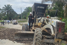 Jalan 7 KM di Desa Pulai Gading Diperbaiki