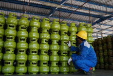 Jangan Tertipu! Ini Cara Mengetahui Pangkalan Gas Elpiji 3 Kg Resmi dari Pertamina