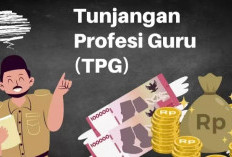 Kabar Besar 2025! Tiga Kategori Guru Resmi Dapat Tambahan TPG 100 Persen, Ini Syarat dan Mekanismenya!