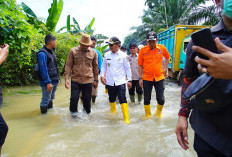 Wabup Rohman Tinjau dan Temui Korban Banjir di Tungkal Jaya