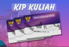 Mau Daftar KIP Kuliah di Kampus Kemenag? Simak Langkah-Langkah Lengkapnya di Sini!