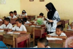 Resmi! Tunjangan Sertifikasi Guru Triwulan 3 Cair Oktober 2025, Ini Daftar Daerah yang Sudah Terima Dana TPG!