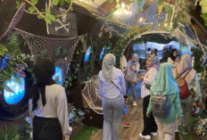 Liburan ke Jakarta Aquarium & Safari: Atraksi Bajak Laut dan Pameran Baru