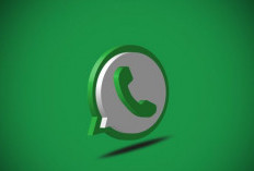 WhatsApp Uji Fitur Daftar Kontak Online, Permudah Akses Komunikasi Real-Time