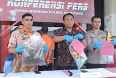 Ganja Dari Empat Lawang Diduga Kuat Mengalir ke Bengkulu