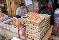 Harga Telur dan Ayam di Empat Lawang Tak Kunjung Turun