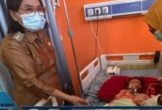 Balita di Seluma Keluarkan Cacing dari Mulut dan Hidung, Dokter Temukan Larva di Paru-Paru