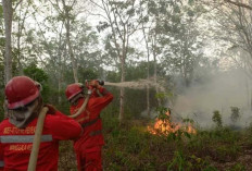 Terus Berjibaku Padamkan Api