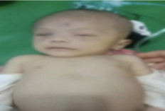 Biadap! Ayah Bunuh Anak Kandung Sendiri yang Masih Bayi, Gegara Sang Anak Menangis