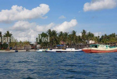 Teluk Tamiang, Surga Tersembunyi di Kotabaru yang Suguhkan Keindahan Alam dan Bawah Laut