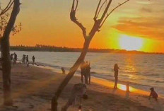 Pantai Kelapa Tinggi: Surga Tersembunyi di Kupang yang Wajib Kamu Kunjungi!