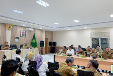 Empat Desa di Muba Bakal Nikmati Aliran Listrik