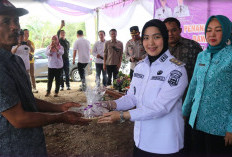 Pemkot Pagaralam Kolaborasi Dengan BI Bantu Petani