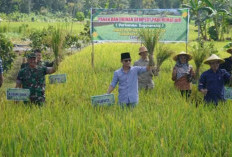 Mengembangkan Sistem Pertanian Hemat Air di Trenggalek: Antisipasi Terhadap Perubahan Iklim