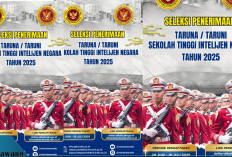 STIN Buka Pendaftaran 2025! Ini Syarat Lengkap, Jadwal, dan Tips Lolos Seleksi Sekolah Kedinasan Intelijen Neg