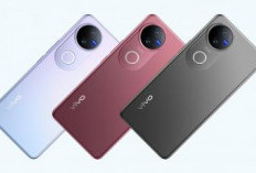 Vivo V50 Resmi di Indonesia: Intip Kelebihan dan Kekurangannya