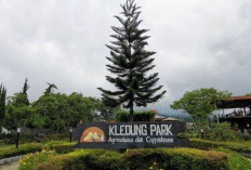 Kledung Park, Permata Tersembunyi di Temanggung dengan Panorama Dua Gunung yang Menakjubkan