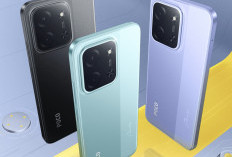 Nggak Perlu Mahal! 5 HP Rp1 Jutaan dengan Memori 256GB yang Kencang Banget