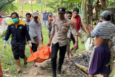 Diduga Epilepsinya Kambuh, Warga OI Jatuh ke Sungai Ogan