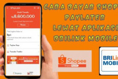 Layanan Agen Keuangan Permudah Pembayaran Pinjaman Online di Pelosok Desa