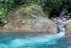 5 Tempat Wisata di Bogor Ini Cocok buat Kaum Introvert, Suasana Tenang dan Tiket Terjangkau