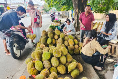 Pedagang Durian Mulai Bermunculan